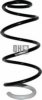 RENAU 540101261R Coil Spring